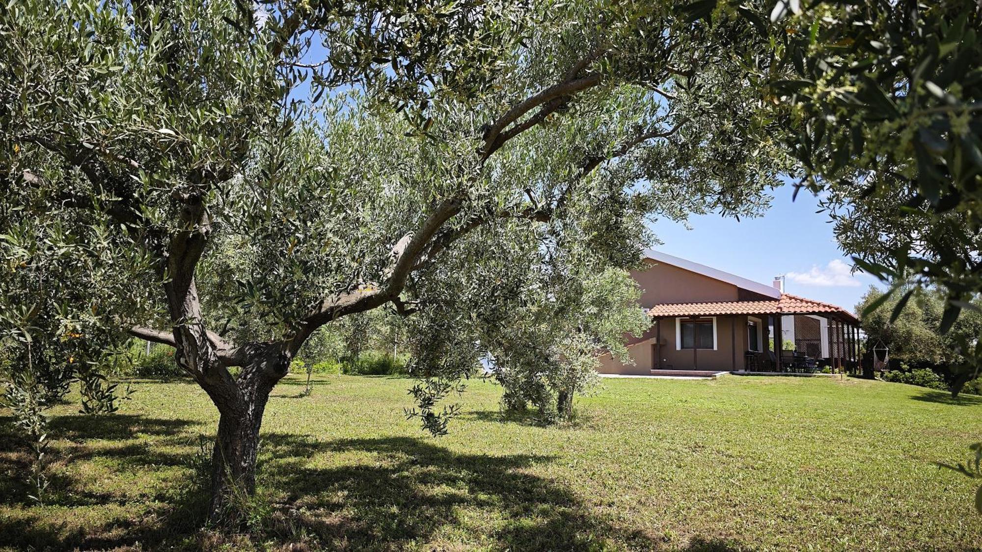 Casa Dikella Villa Mesimvria  Eksteriør bilde